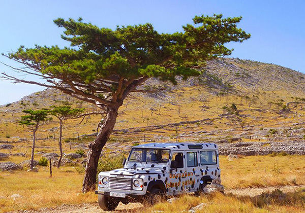 Hvar offroad tour:Dalmatian island safari