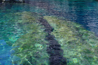 Day trips to blue cave - interesting underwater shapes 