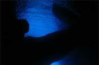 Blue grotto tour - photo of underwater bridge in the blue grotto 