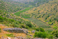 Dalmatian island safari by Ilirio - river shaped inland fields