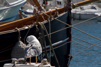 Ilirio's Hvar tours: fisherman traditional wooden boat in ancient fisherman settlement