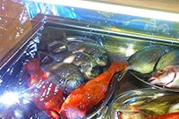 Fresh Adriatic fish, beach restaurant Kod Jakse