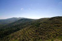 Hvar Croatia: Landscape of fields maded by stone through centuries