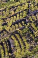 Island of Hvar: Stone landscape shapes – terrace fields on hills