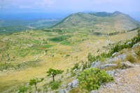 Safari in Croatia: Hvar island landscape 