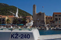 Ilirio's Hvar tours: seaguls and churchfortress in Komi\9Ea, Vis Island