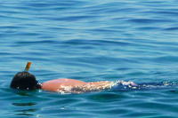 Snorkeling tour to Hvar and Korcula island