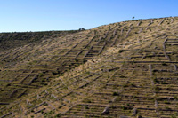 Stone landscape on beautiful Hvar Island on Dalmatian coast in Croatia, Adriatic sea