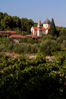 Ilirio's Hvar tours: Hvar island vineyard churches in Croatia on Adriatic sea, vineyard tour