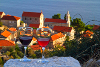 Vineyard Iliro's tours, Hvar island Croatia