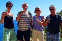 Vineyard tours by Ilirio in Croatia - cheers!