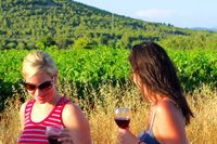 Holidays in Croatia, guests on wine ilirio's tours