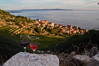 Ilirio's Hvar tours: Wine tour or rather vineyard tour on Middle Dalmatian Hvar island in Croatia